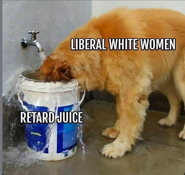 1787727529278.png