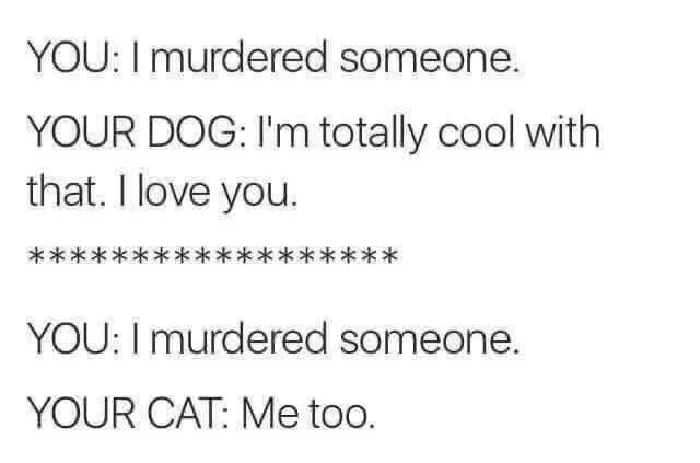 1000054538.jpg