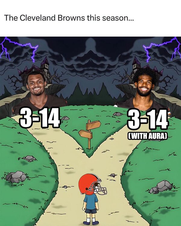 1000056162.jpg