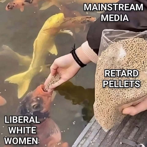 1791746371344.png