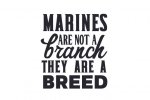 Marines-are-not-a-branch-they-are-a-breed-580x386.jpg