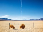 09_25_2014_tumbleweed.jpg