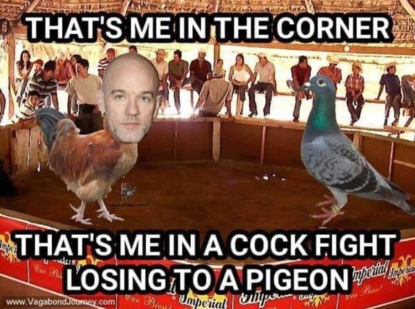 cockfight.jpg