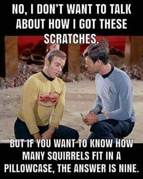 FB_IMG_1586824657542.jpg