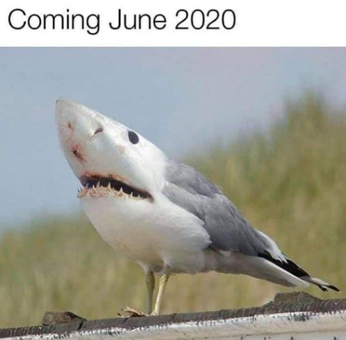 Coming in June 2020.png