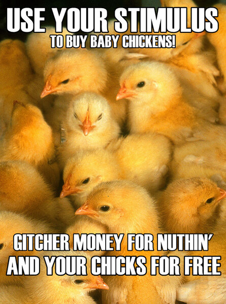 chicks4free1.jpg