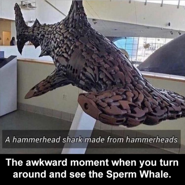 Sperm Whale.png