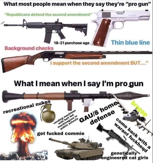 ProGun.jpg