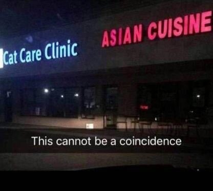 Cat Care Clinic.JPG