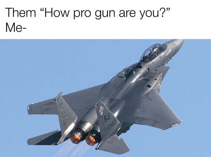 How Pro Gun ru.jpeg