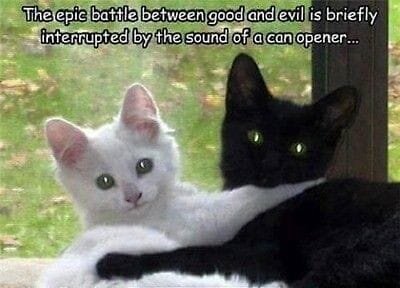 Cats Good and Evil.jpg