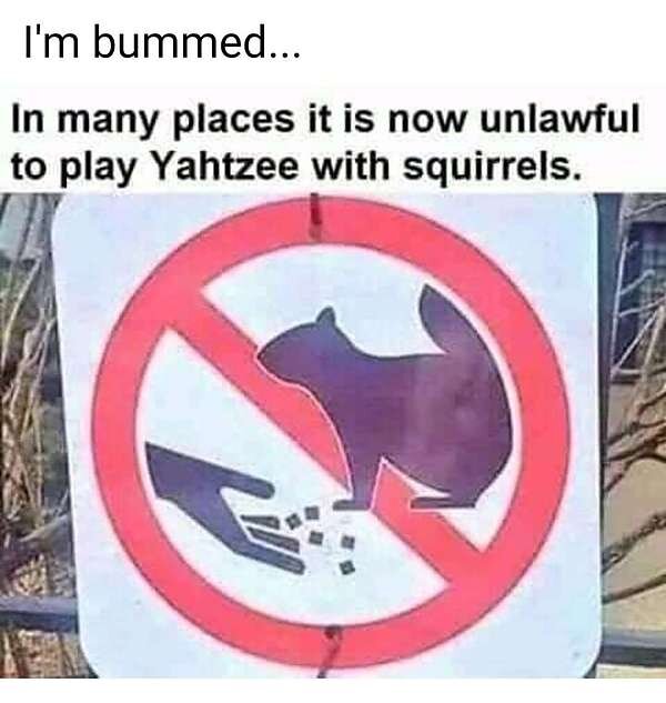 Squirrel Yatzee.jpg