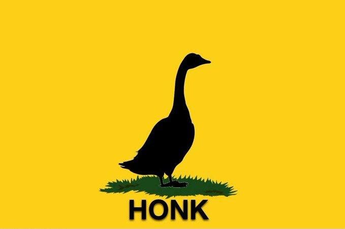 Honk on Grass.jpeg