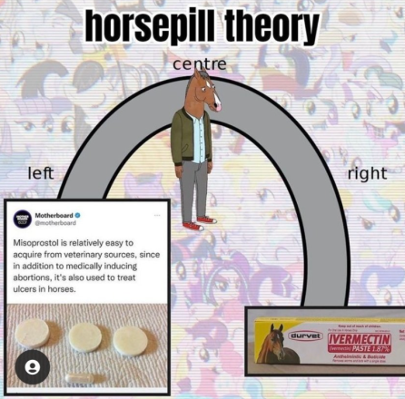 Horse Pill Theory.png