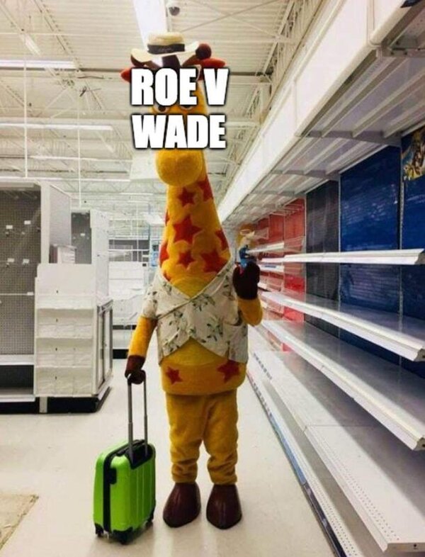 Roe v wade gone.jpg