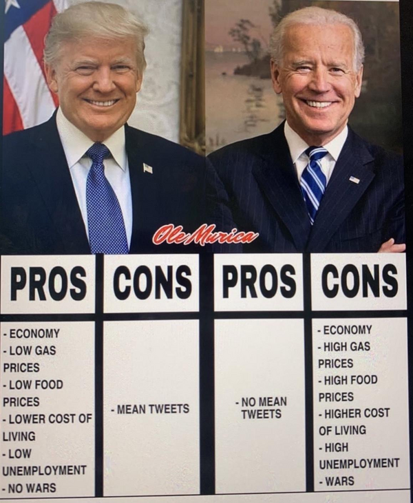 Pros and Cons Trump Biden.png