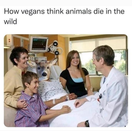 Vegan Animals Die.png